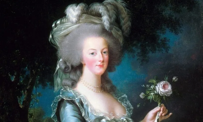 NUMA CRISTANDADE VIGOROSA 3